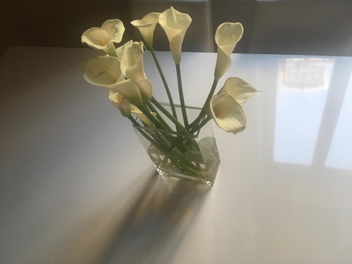Di Rienzo Suites Trevi